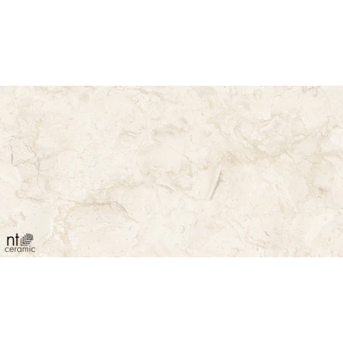 Керамогранит NT Ceramic Gravel Stone Almond Endless Карвинг NTT99523C 120х60 см