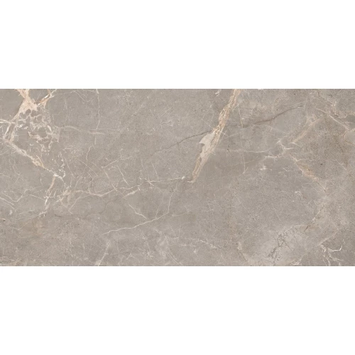 Керамогранит Ocean Ceramic India India 60Х120 Hyper Iron OC0000154 120х60 см