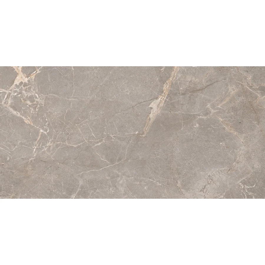 Керамогранит Ocean Ceramic India India 60Х120 Hyper Iron OC0000154 120х60 см