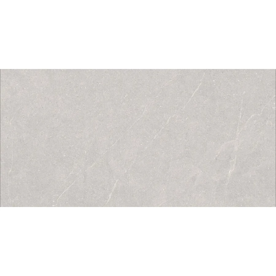 Керамогранит Duna Elenta Ash Carving светло-серый RP-238578 120х60 см