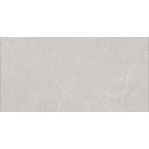 Керамогранит Duna Elenta Ash Carving светло-серый RP-238578 120х60 см