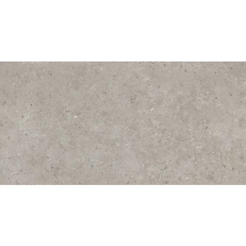 Керамогранит Kerama Marazzi Риккарди серый светлый матовый обрезной SG519920R 119,5х60 см