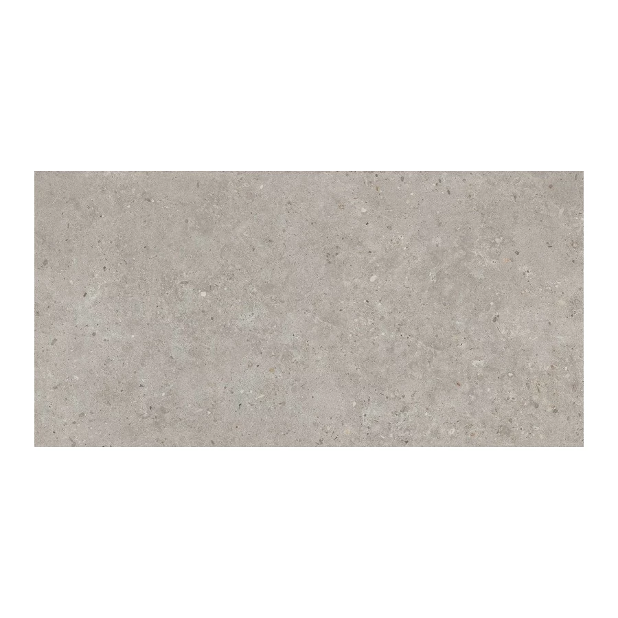 Керамогранит Kerama Marazzi Риккарди серый светлый матовый обрезной SG519920R 119,5х60 см