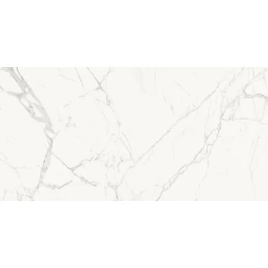 Керамогранит Delacora Porfido Carrara матовый белый 60120PFC15M 120х60 см