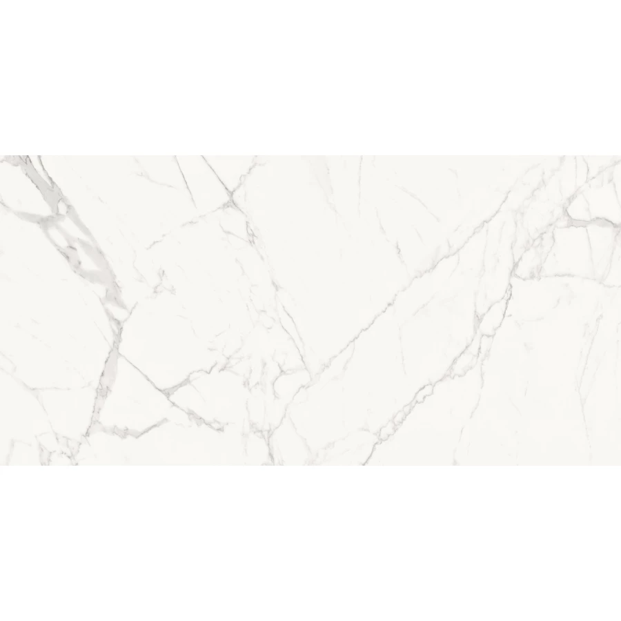 Керамогранит Delacora Porfido Carrara матовый белый 60120PFC15M 120х60 см