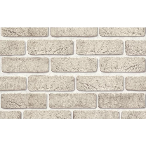 Обои виниловые Аспект Орхидея бежевые 10108-85 0.53x10.05 м