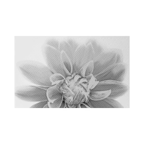 Декор Шахтинская плитка Камелия чёрно-белый 03 25х40