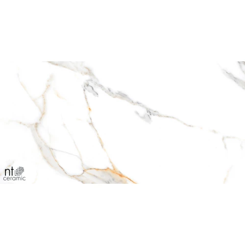 Керамогранит NT Ceramic Marmo Miami Natural Полированный NTT99500P 120х60 см