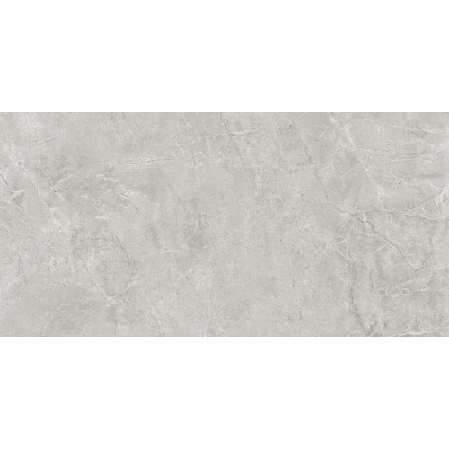 Керамогранит Laparet Pluto Silver светло-серый матовый SG50005220R 119,5х60 см