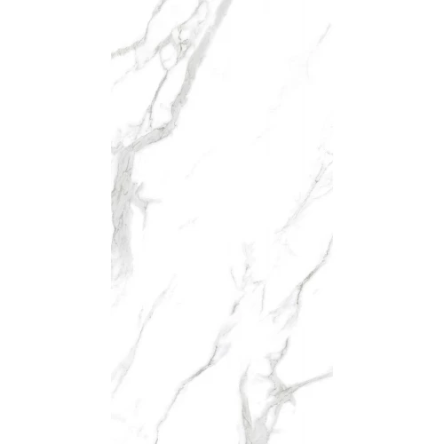 Керамогранит Basconi Home Statuario matt BHW-0005 120х60х1 см