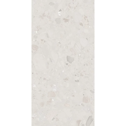 Керамогранит Seratonia Glossy Terra Premium Light светло-серый 120х60 см