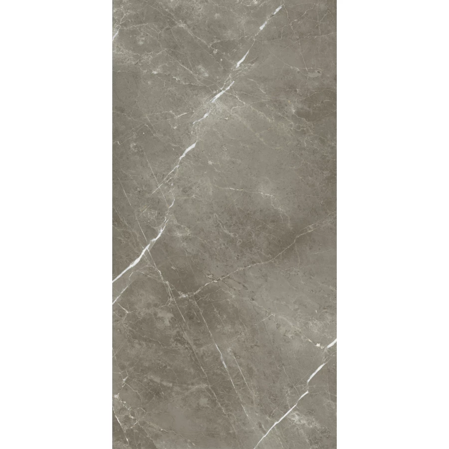 Керамогранит Italon Стелларис Тусканиа Грэй Шлифованный 610015000681 120х60 см