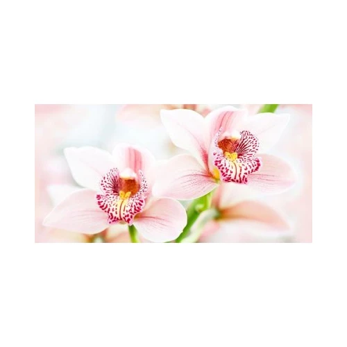 Панно Нефрит-Керамика Меланж бежевый 50х100 см