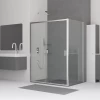 Душевой уголок RGW CL-48 RGW CL-14 + RGW Z-050-1 Прозрачное 32094800-011 100х100 см