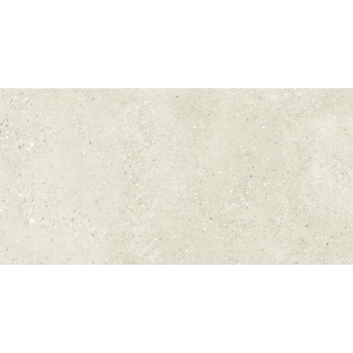 Керамогранит Buono Terrazzo Light Ivory Matt матовый бежевый THS4804M 120х60 см