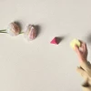 Суперклассика Эс Си Ви / Superclassica SCW