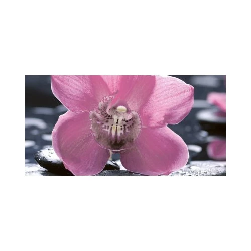 Декор Нефрит-Керамика Орхидея черный (цветы) 25х50 см