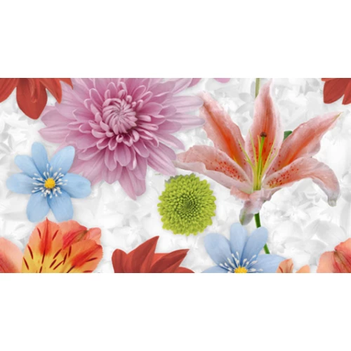 Панно Ceradim Dec Dance B КПН16DanceB 25х45