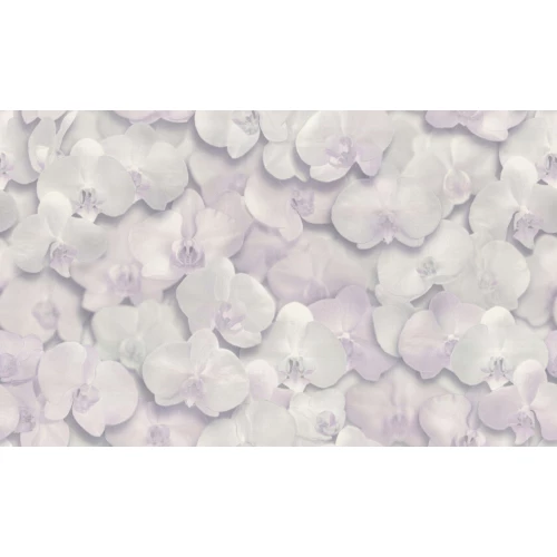 Обои флизелиновые Palitra Home HomeColor Orchid бежевые HC71421-11 1.06х10.05 м