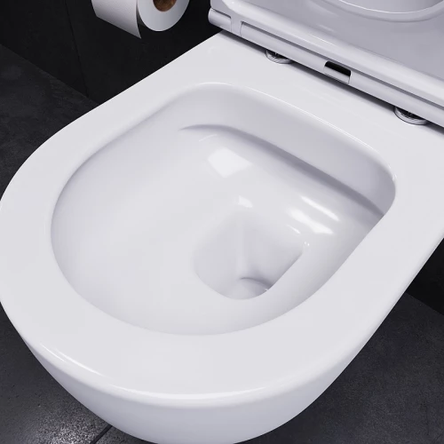 Унитаз Damixa Sirius подвесной безободковый с сиденьем микролифт DX86C1700SC