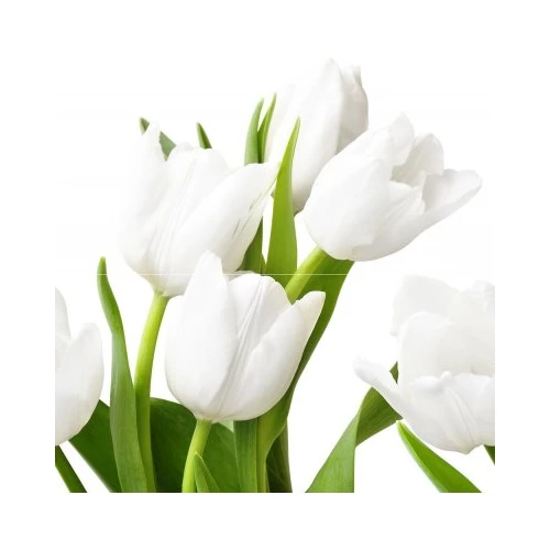 Панно Azori Элара Верде триумф 40,2х40,5 см