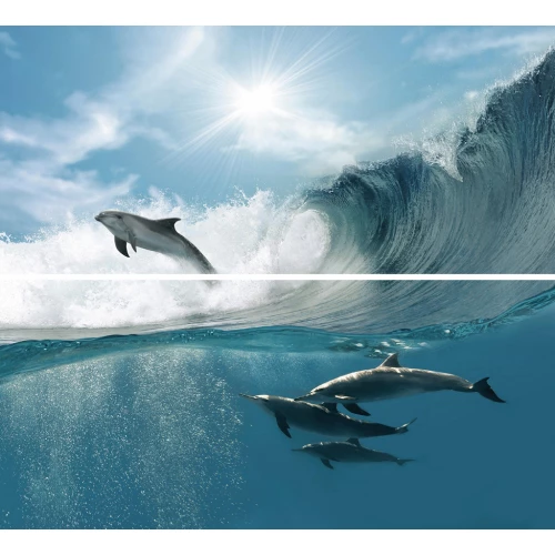 Декор Novogres Fresh Decor Goa Acuario-2 (комплект 2шт) 60х54