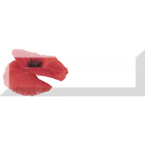 Плитка настенная Absolut Keramika Monocolor Decor Poppy 01 глянцевая белая AK0732 30х10 см
