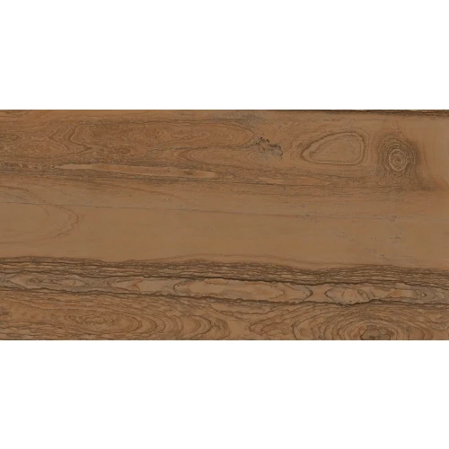 Керамогранит Lafaenza Radika RDKA 12BS LP Dark Beige блестящий коричневый 120x60 см