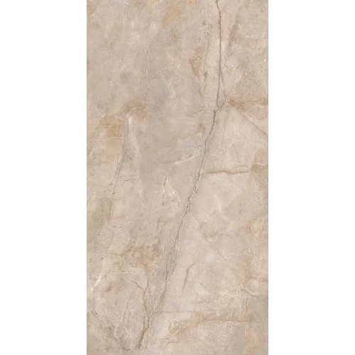 Керамогранит Ocean Ceramic India India 80х160 Monterial Taupe OC0000131 160х80 см