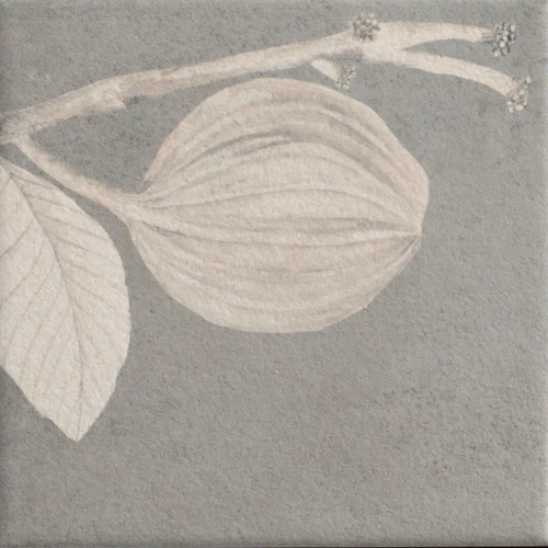 Керамогранит Mainzu Soft Kamelia Grey 15х15 см