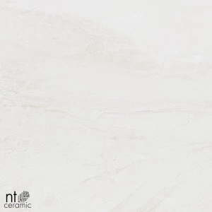 Керамогранит NT Ceramic Zeus NTT9701 Матовый ZS6NTT9701M 60х60 см