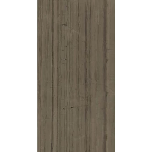 Керамогранит Italon Charme Advance Elegant Brown Lux 610015000592 80X160 см