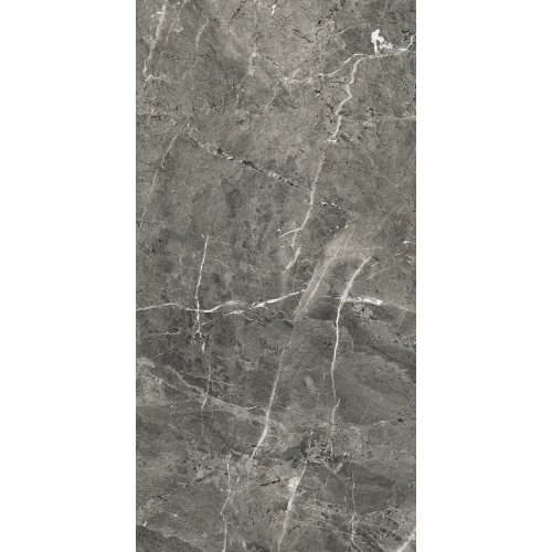 Керамогранит Arcadia Ceramica Florencia Grey Full Polished серый FP1028-A 120х60 см