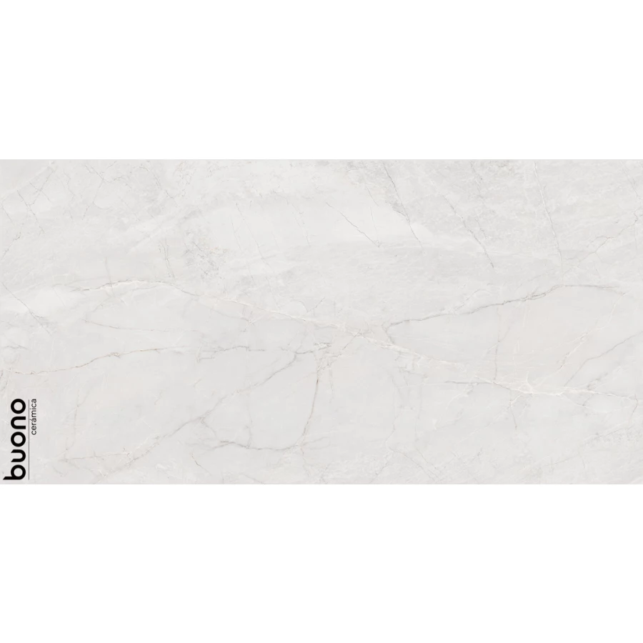 Керамогранит Buono Stones Pietra Bianco Carving белый S4433C 120х60 см