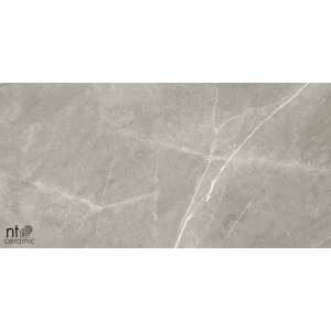 Керамогранит NT Ceramic Bright and Shiny NTT9102 Полированный BB612NTT9102P 120х60 см