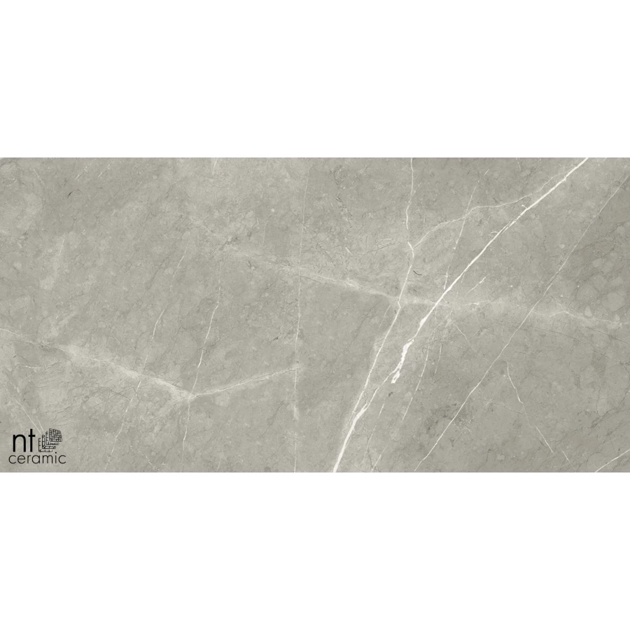 Керамогранит NT Ceramic Bright and Shiny NTT9102 Полированный BB612NTT9102P 120х60 см