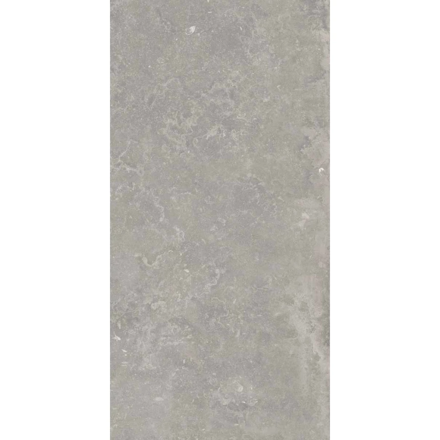 Керамогранит Ariana Ceramica Memento bruges grey antique 3d R 12320 120х60 см