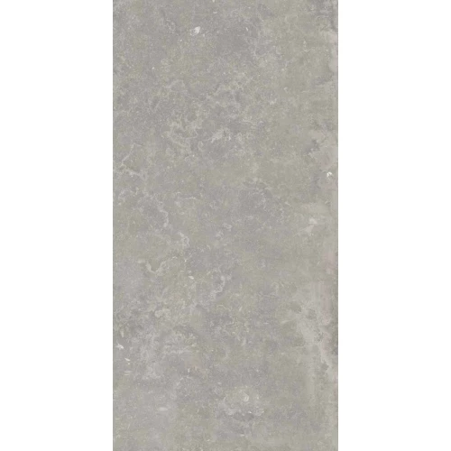 Керамогранит Ariana Ceramica Memento bruges grey antique 3d R 12320 120х60 см
