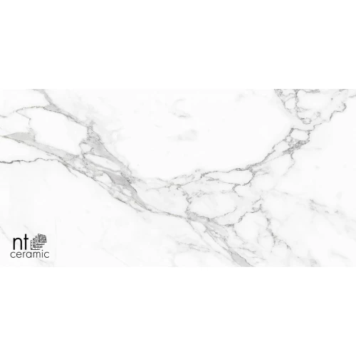 Керамогранит NT Ceramic Bright and Shiny Statuario Infinity Матовый NTT9125M 120х60 см