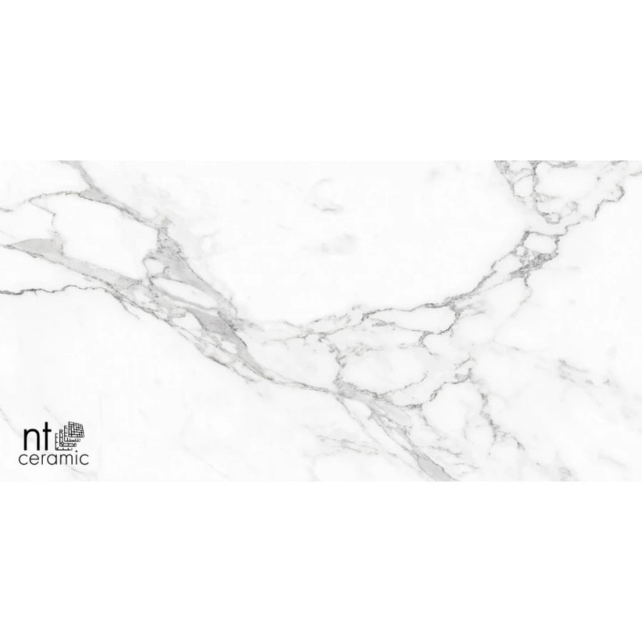 Керамогранит NT Ceramic Bright and Shiny Statuario Infinity Матовый NTT9125M 120х60 см