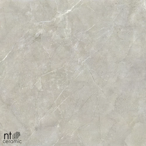 Керамогранит NT Ceramic Quanta Grey NTT9022 Матовый NS6NTT9022L 60х60 см