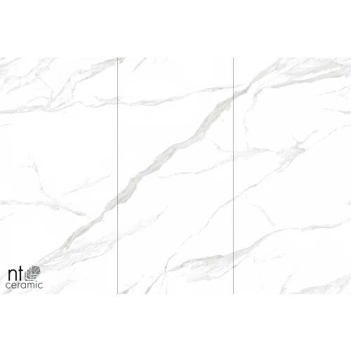 Керамогранит NT Ceramic Atlas Wide Statuario mat Матовый NTT3009M 240х120 см