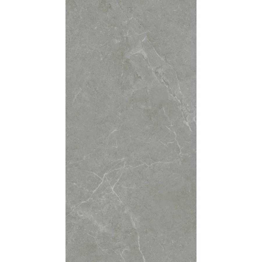 Керамогранит Realistik Ankara Semi Polished Matt серый JN12905F 120x60 см