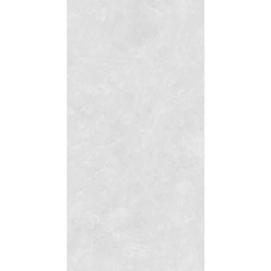 Керамогранит Creanza Oviedo Silver Solido матовый с микрогранулами светло-серый SL1003-A 120х60 см