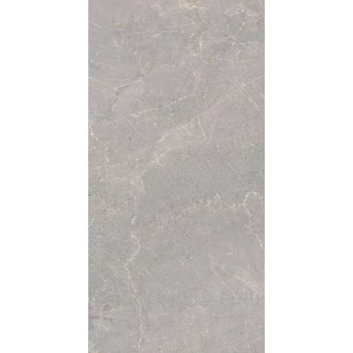 Керамогранит Peronda Alchemy Floor Alchemy Iron AS C R серо-бежевый 3350937736 120х60 см