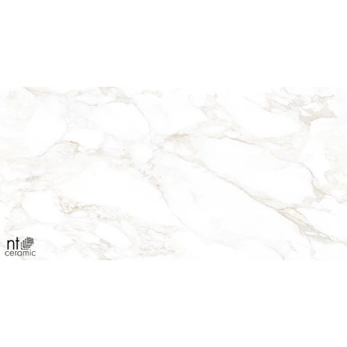 Керамогранит NT Ceramic Marmo Marble Extra Endless Матовый NTT99526M 120х60 см