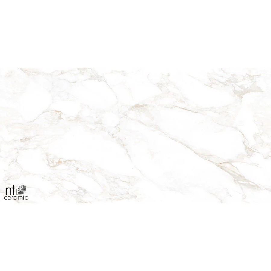 Керамогранит NT Ceramic Marmo Marble Extra Endless Матовый NTT99526M 120х60 см
