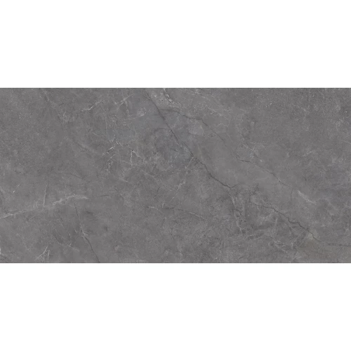 Плитка настенная Laparet Aston серый 00-00-5-18-01-06-4133 60х30 см