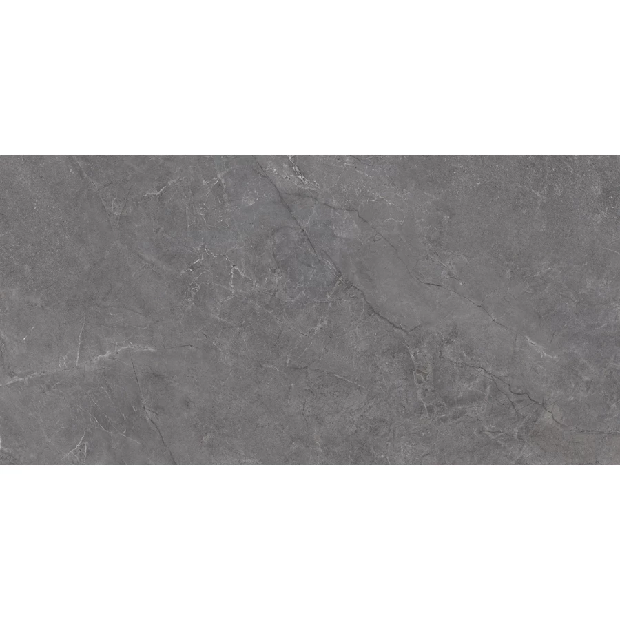 Плитка настенная Laparet Aston серый 00-00-5-18-01-06-4133 60х30 см