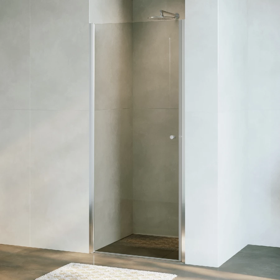 Душевая дверь RGW Dolphin TN-03 Прозрачное 900 54930309-11